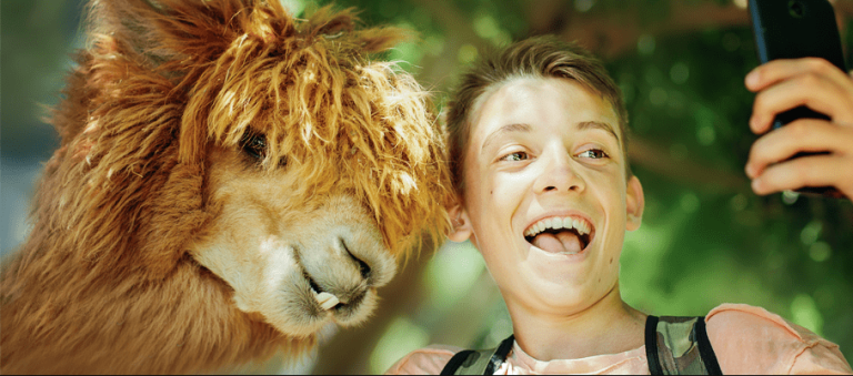 Best Zoo Management Software 2022- Reviews, Comaprison and FAQs